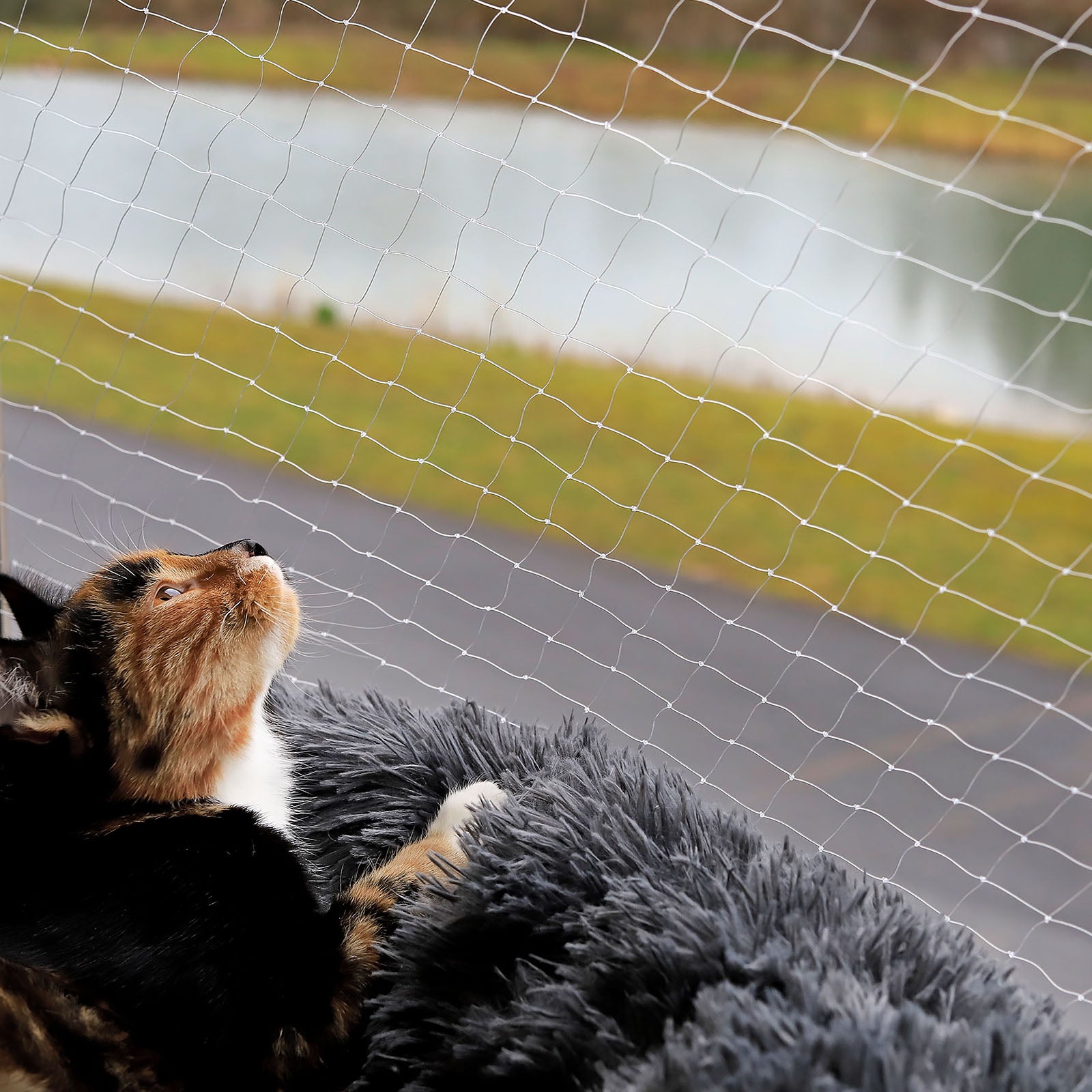 Lionto rete protezione gatto balcone 3x4 m nylon trasparente