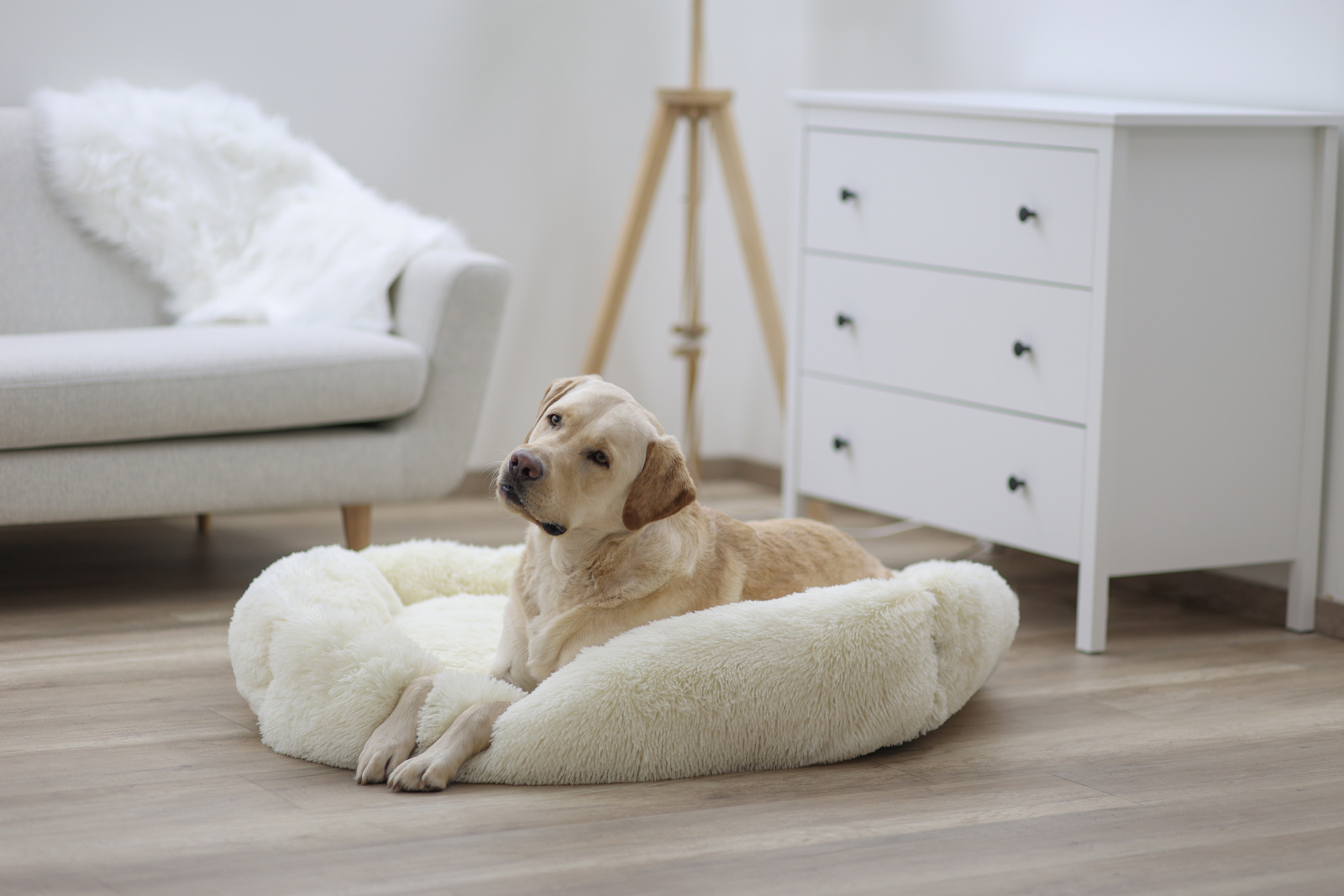Kerbl Pet Snugly Bed Fluffy letto cane ciambella morbido