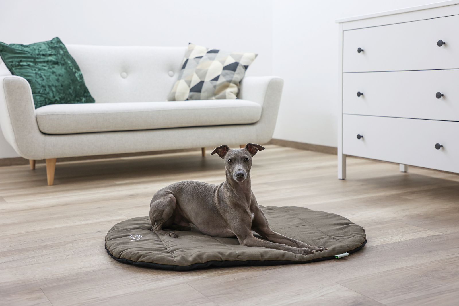 Kerbl Traveller Cuscino Materassino Cane Arrotolabile