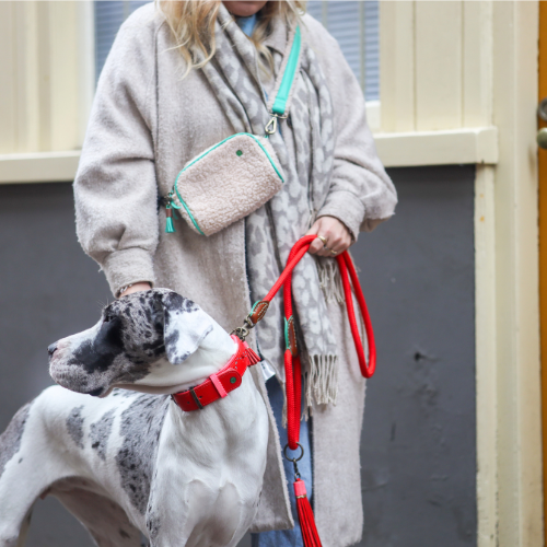 Dog with a Mission Red Velvet guinzaglio corda L rosso 155 cm