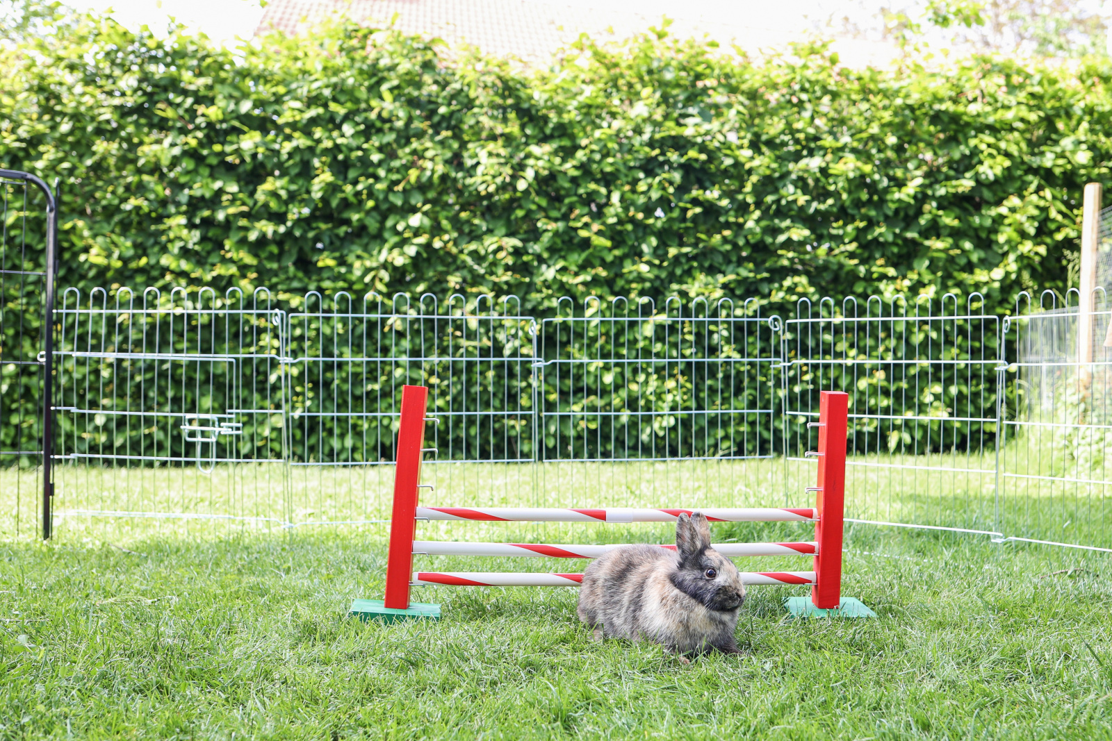 Kerbl Pet Rodent Agility Upright Jump gioco agility roditori legno