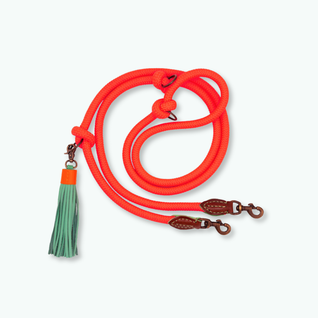 Dog with a Mission Carrot Cake guinzaglio cane arancione L