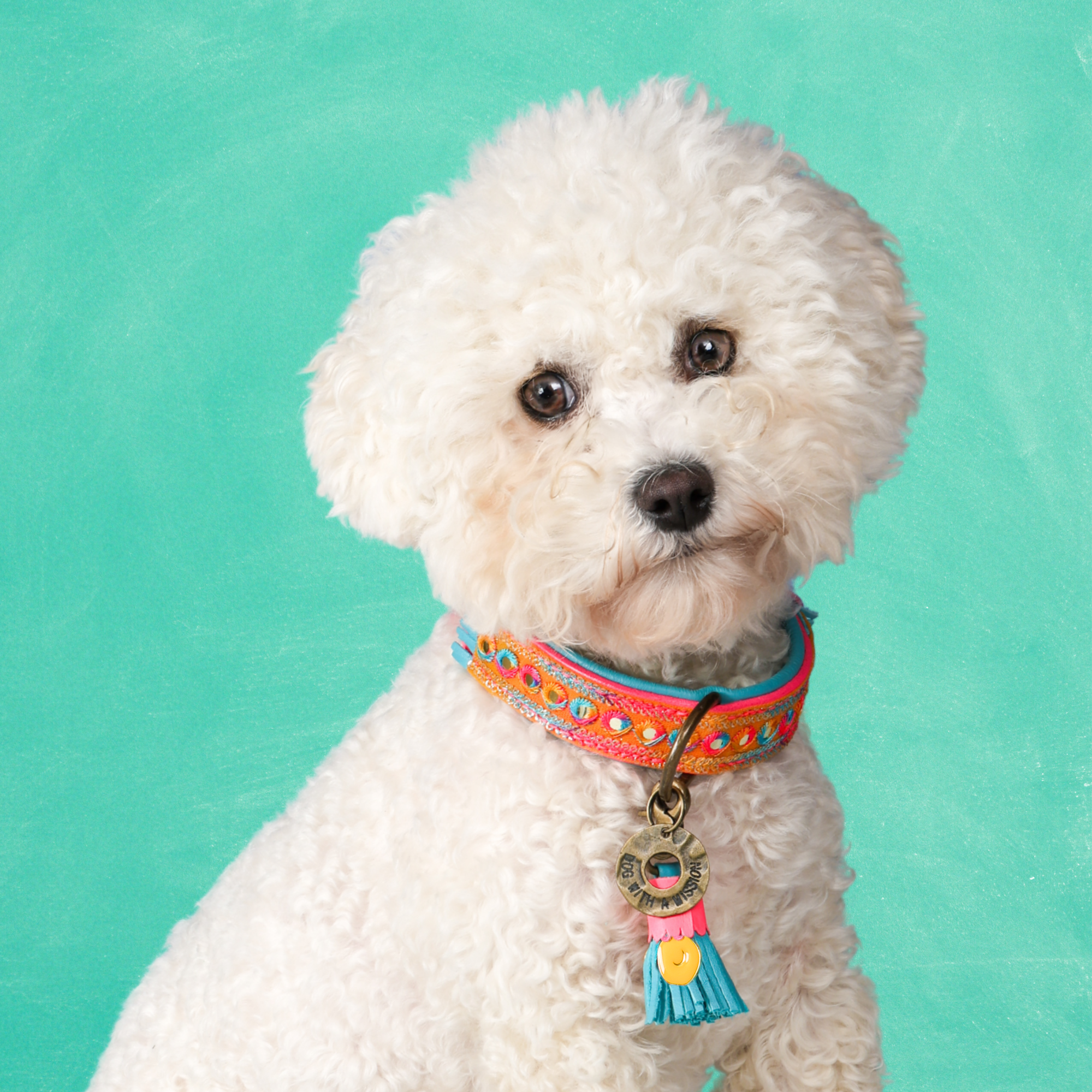 Dog with a Mission Indian Summer collare cane S multicolor pelle