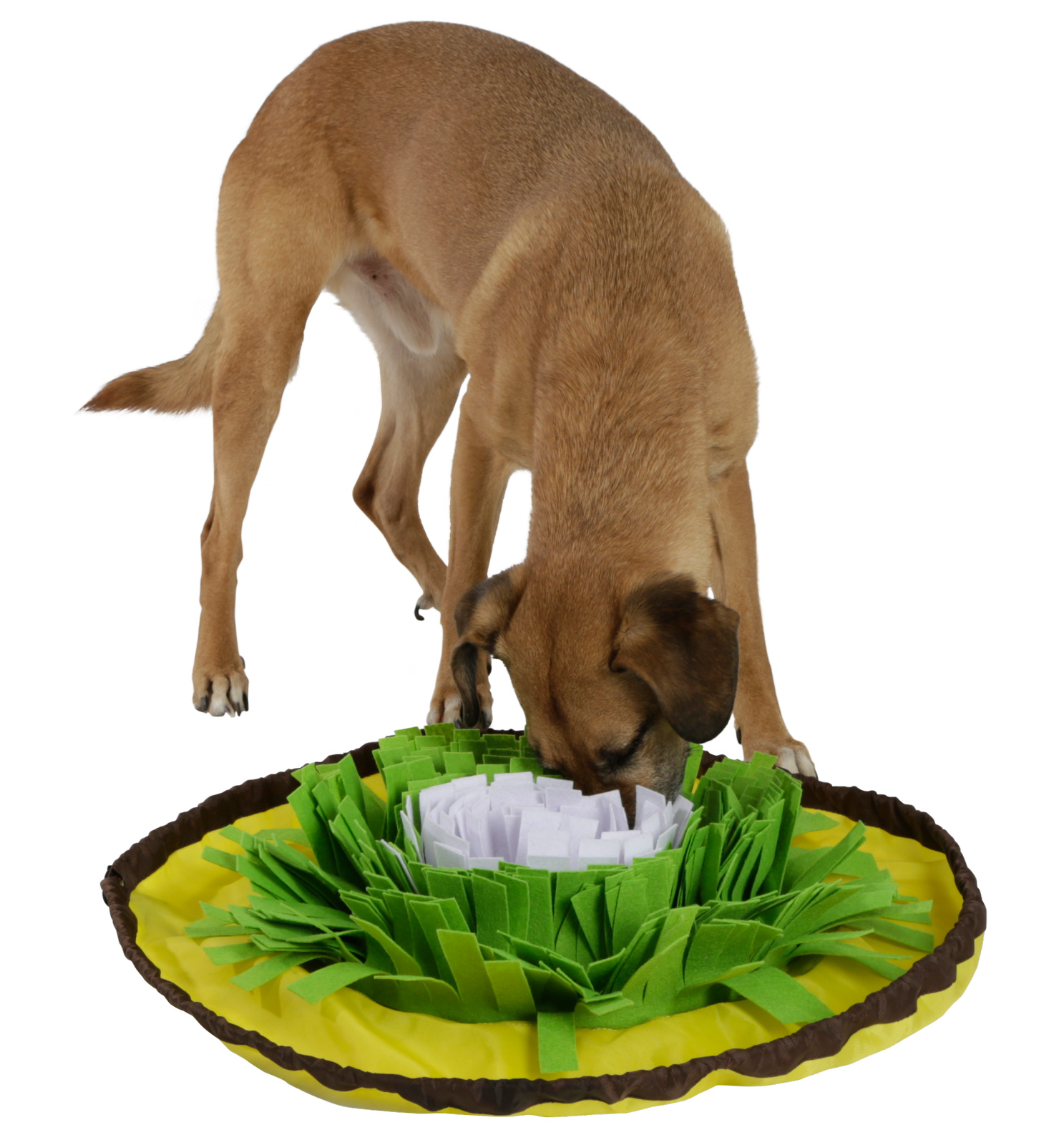 Kerbl Pet Dog Toy Sniff Rug Bowl tappeto olfattivo cani anti-ingozzamento