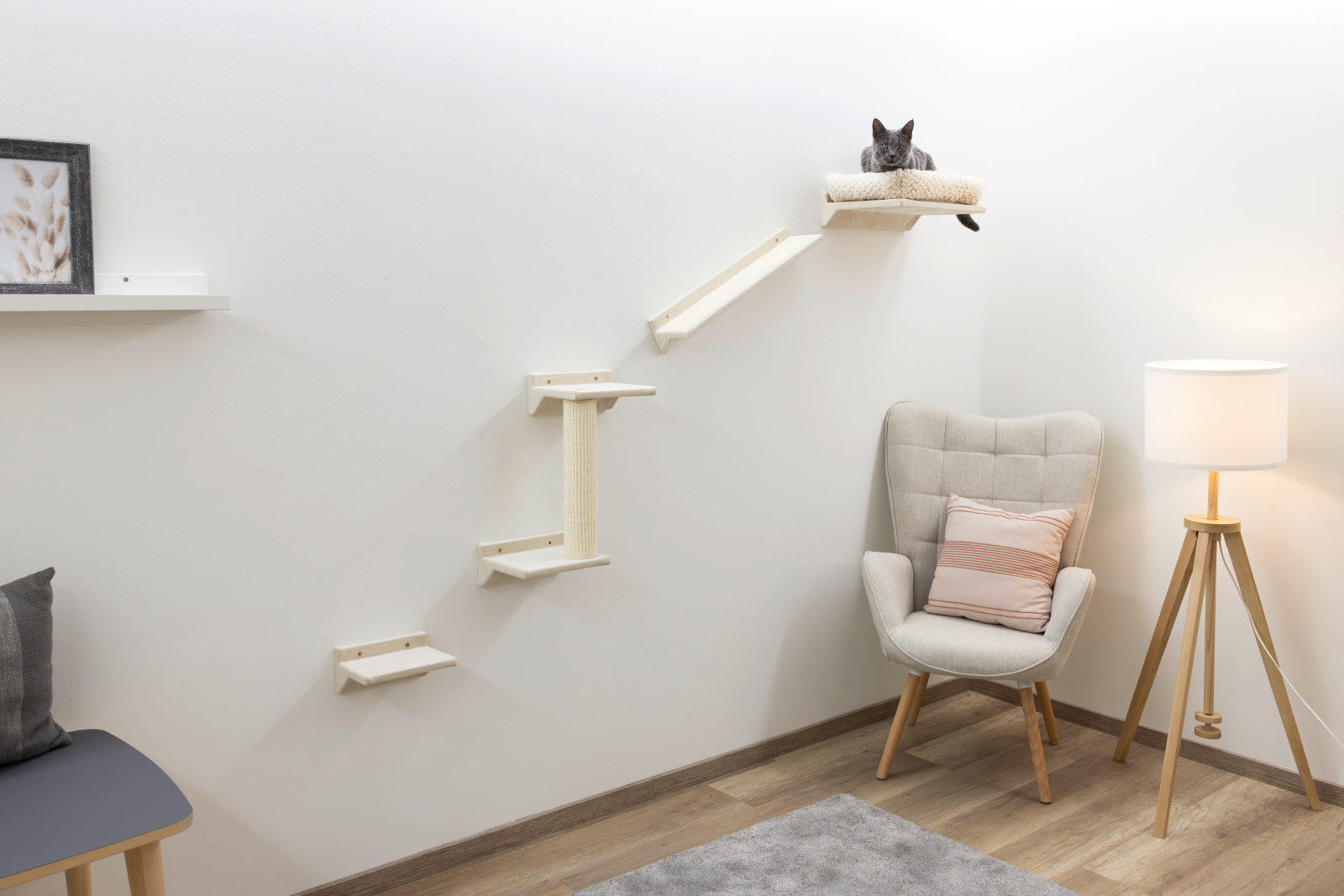 Kerbl Pet Monte Prado parete arrampicata gatto 6 pezzi