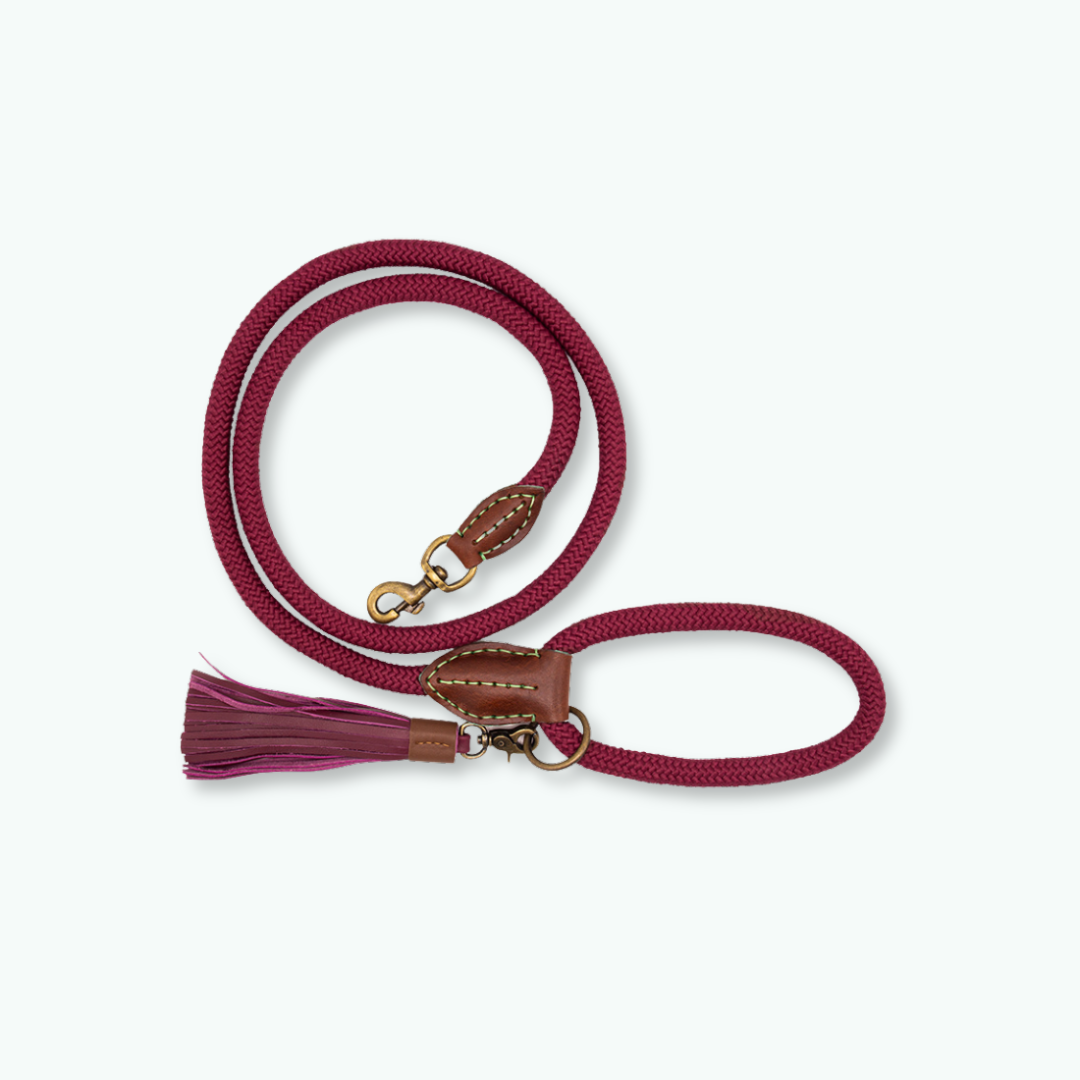Dog with a Mission Bonnie guinzaglio cane L 155 cm bordeaux