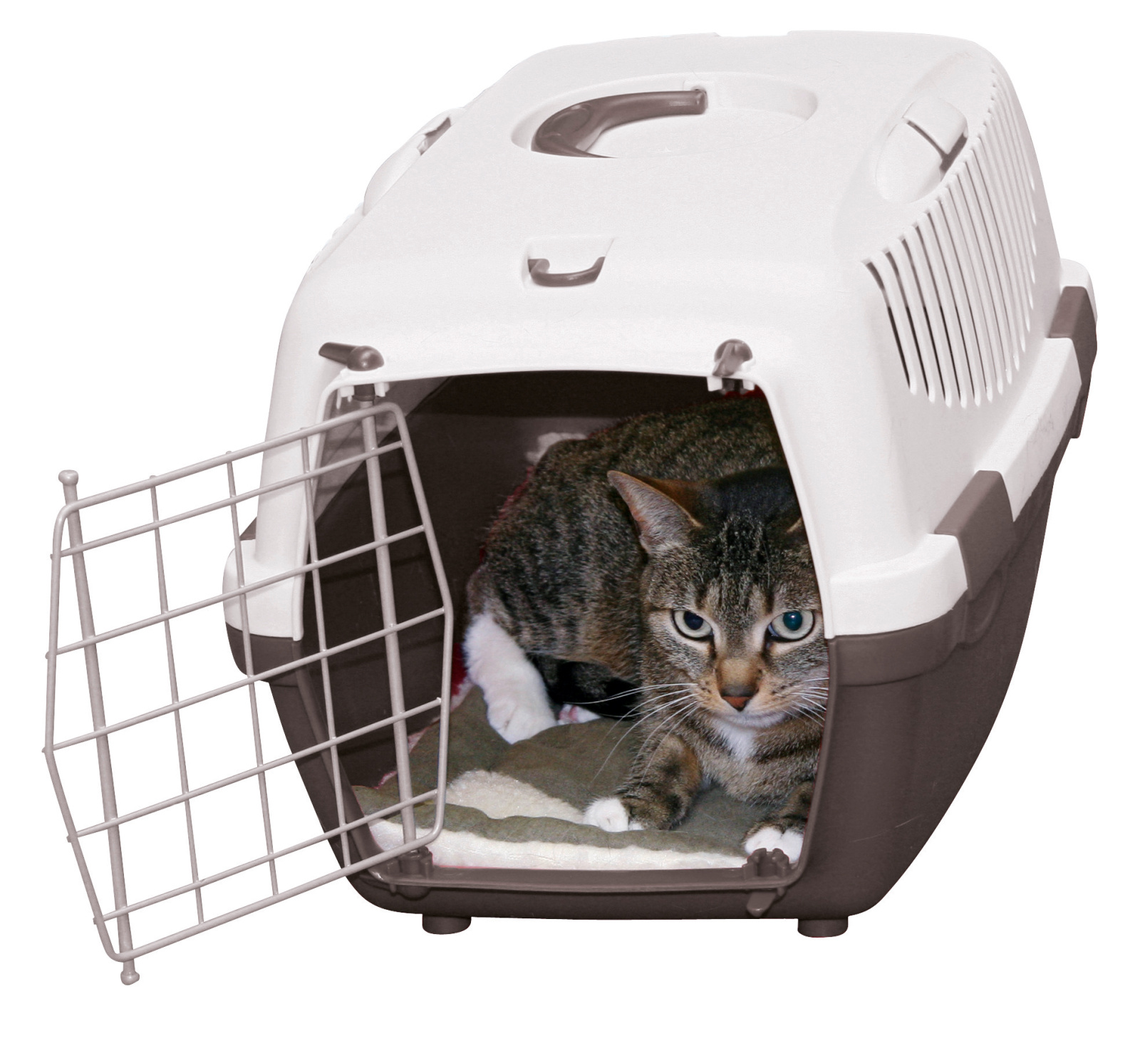 Kerbl Pet Cleo cuscino cane double-face lavabile