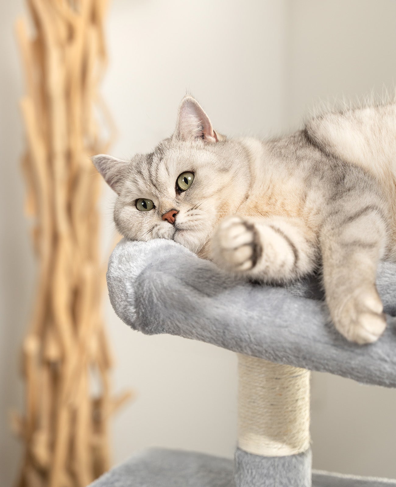 Lionto Katzenkratzbäume tiragraffi gatto 80 cm grigio chiaro