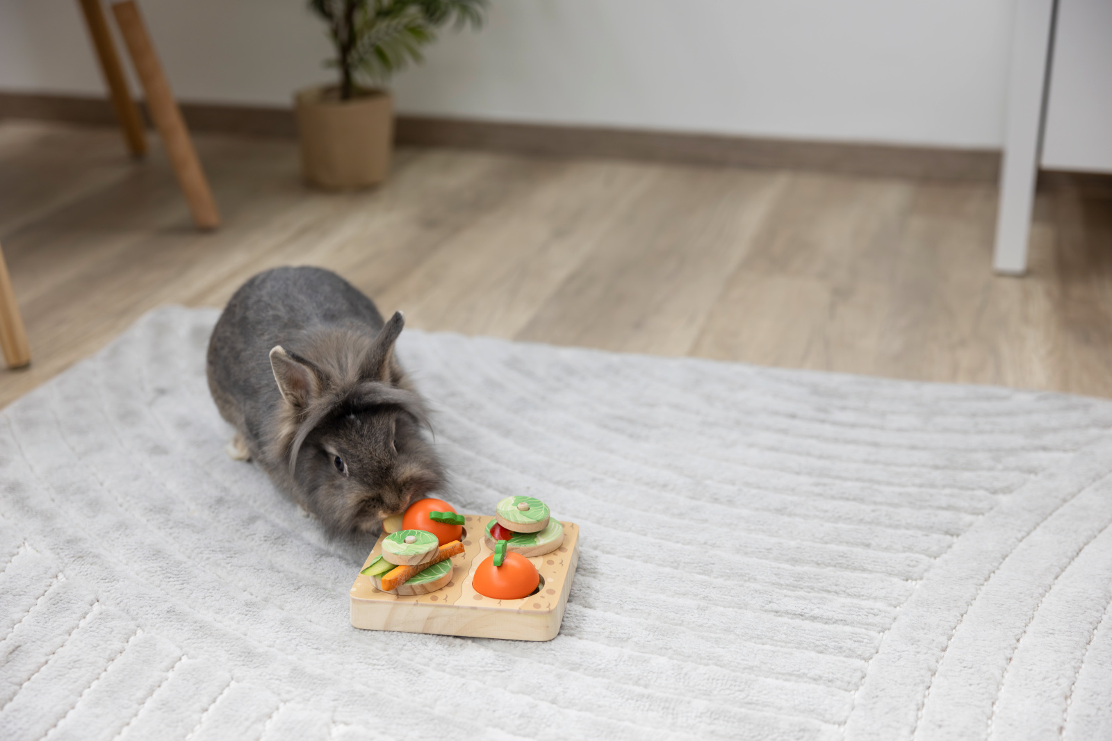 Kerbl Pet Veggie gioco intelligenza coniglio 2 livelli