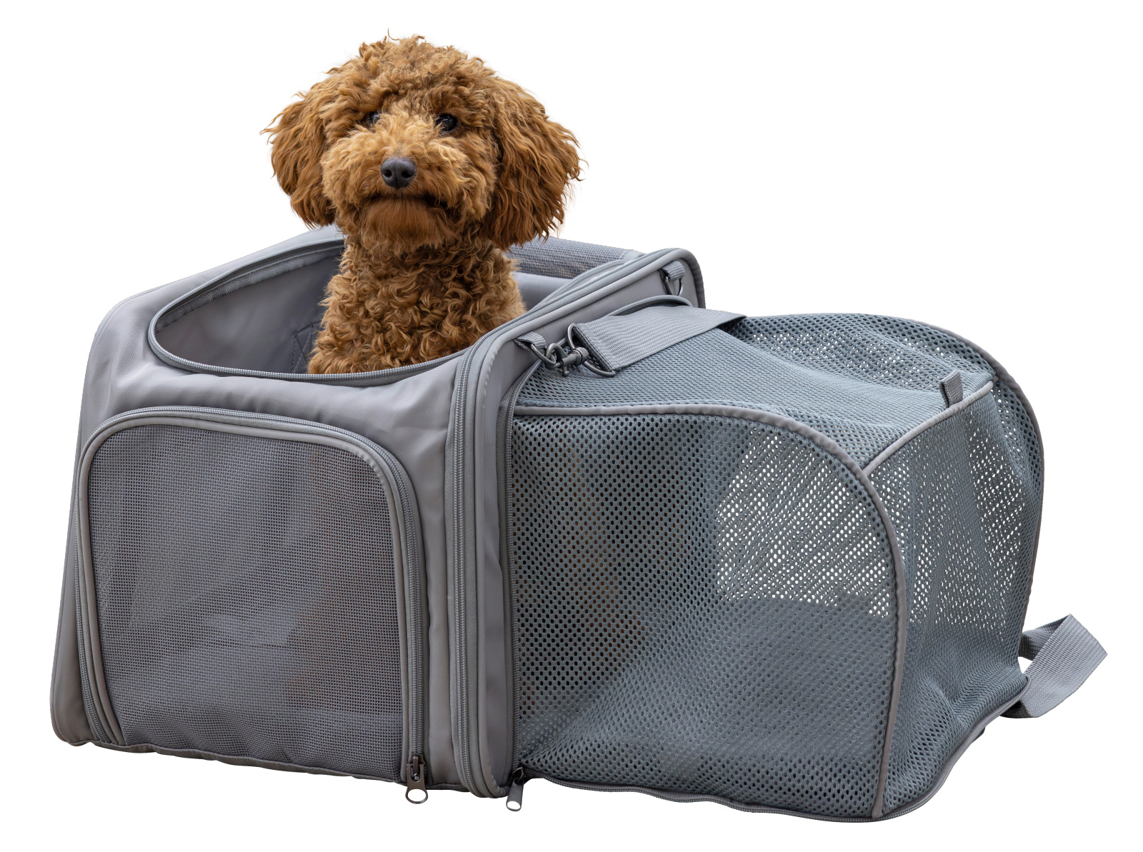 Kerbl Pet Vacation borsa trasporto cane gatto 15 kg