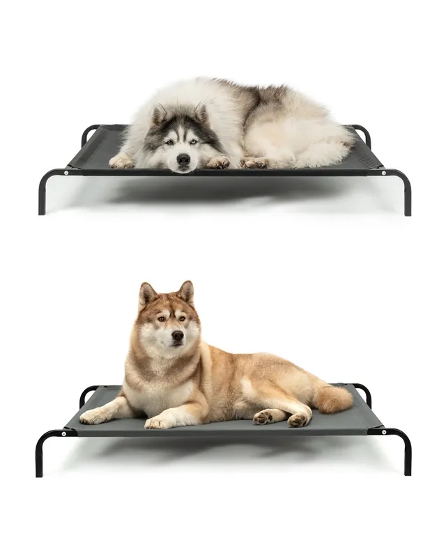 Lionto Hundebetten brandina rialzata cani nera 114x76 cm estiva
