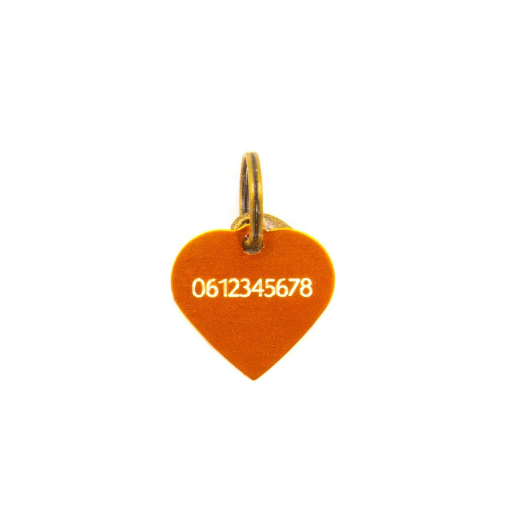 Dog with a Mission cuore medaglietta cane arancione S