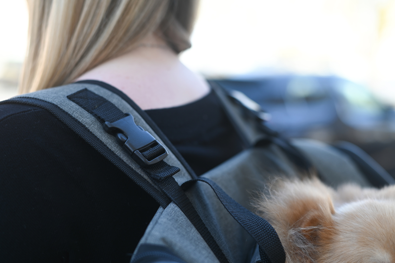 Kerbl Vacation Zaino Trasporto Cane Gatto Oxford