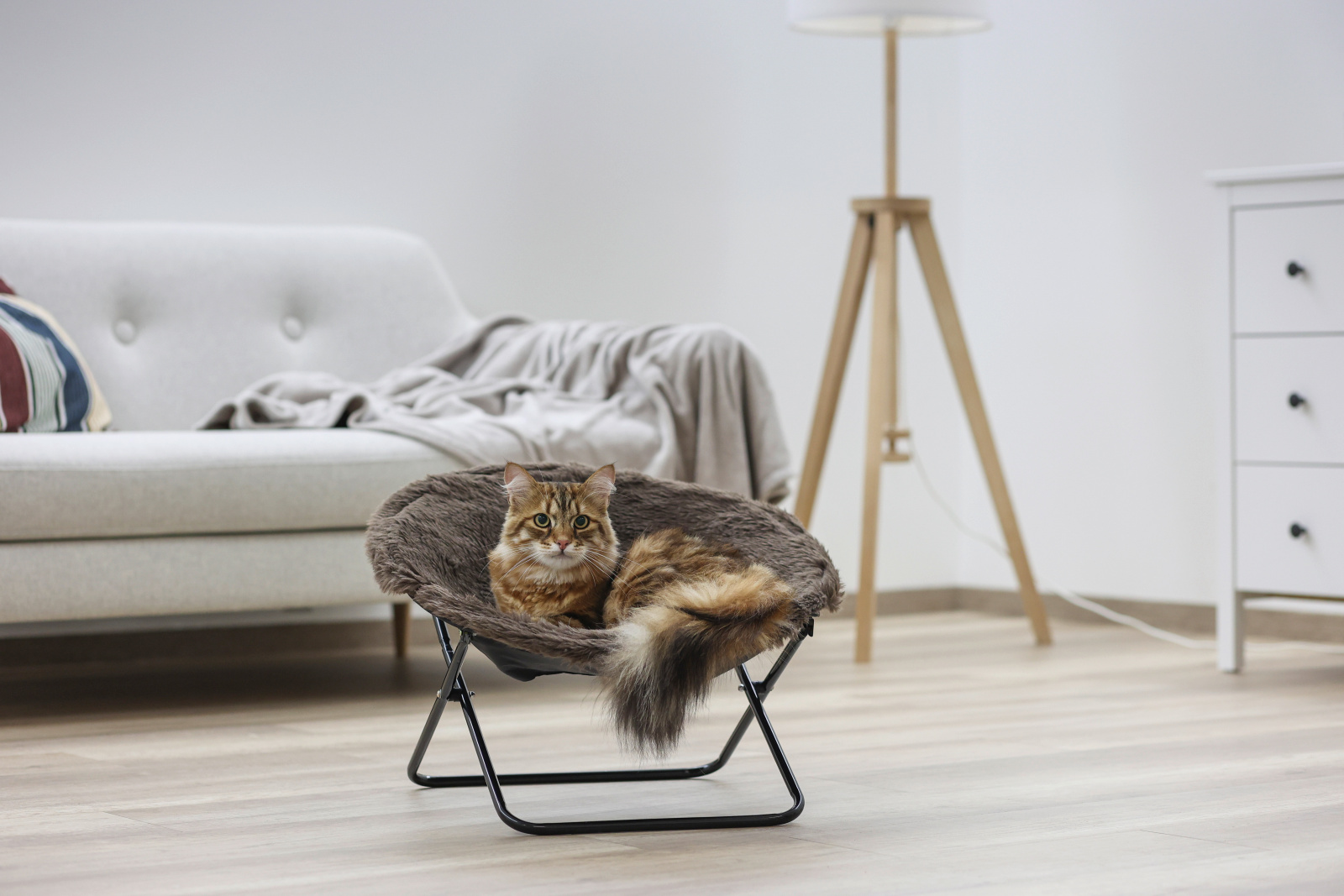 Kerbl Pet Cat Sleeping Sharon lettino gatto peluche pieghevole