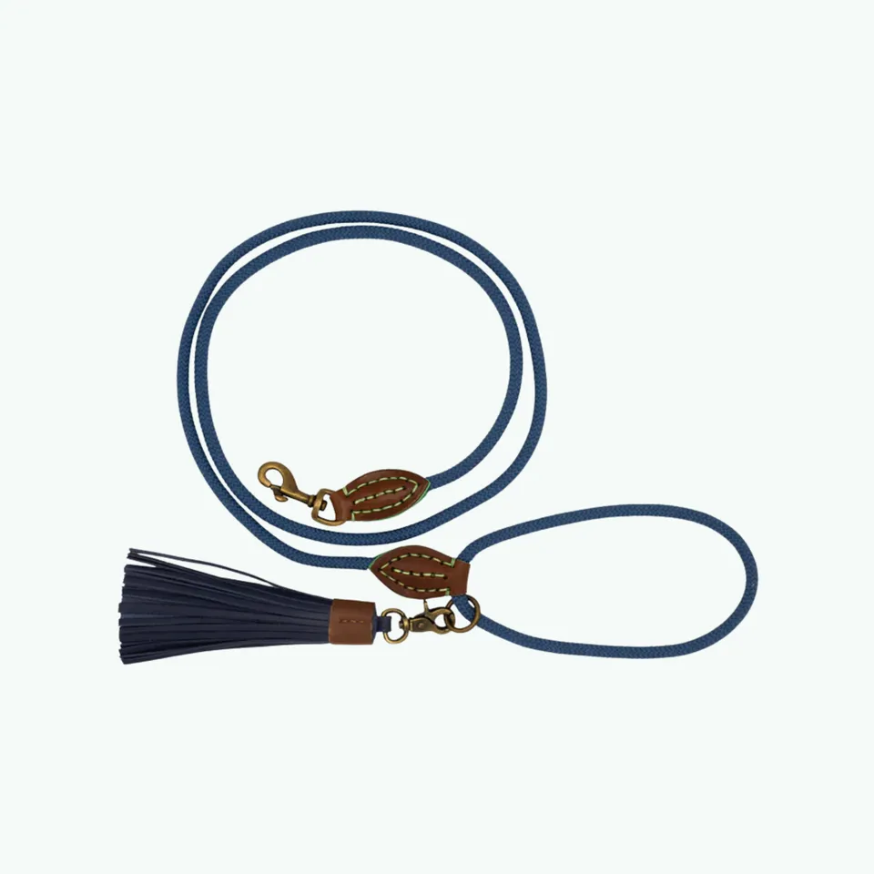 Dog with a Mission Buster S guinzaglio cane blu 155 cm