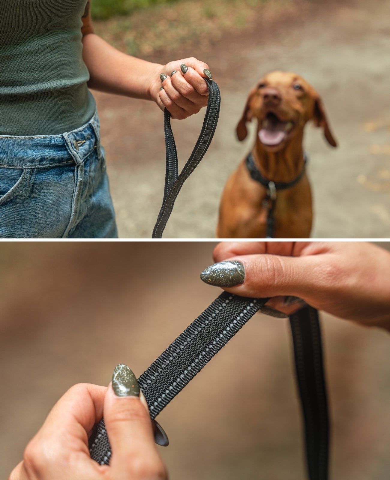 Lionto Hunde-Spaziergang guinzaglio gommato riflettente 1,70 m