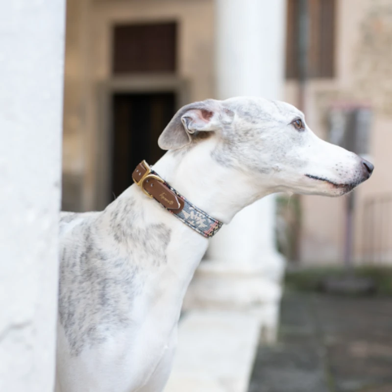 Toscani Edizioni speciali collare cane Native etnico