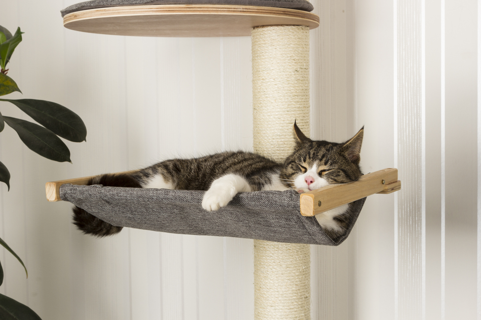 Kerbl Dolomit XL Tofana tiragraffi parete gatto con cuccia