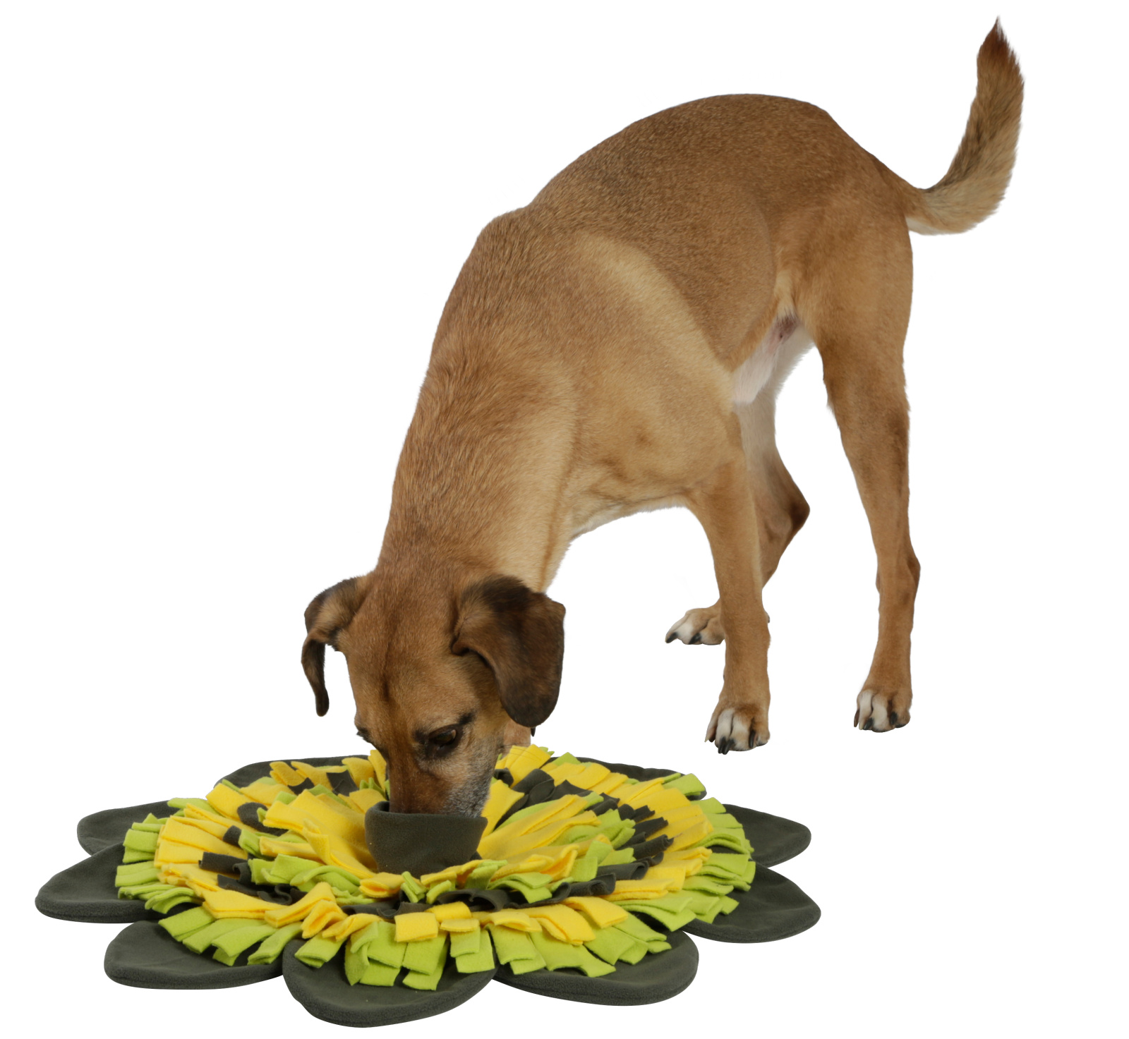 Kerbl Pet Sunflower tappeto olfattivo cane rotondo