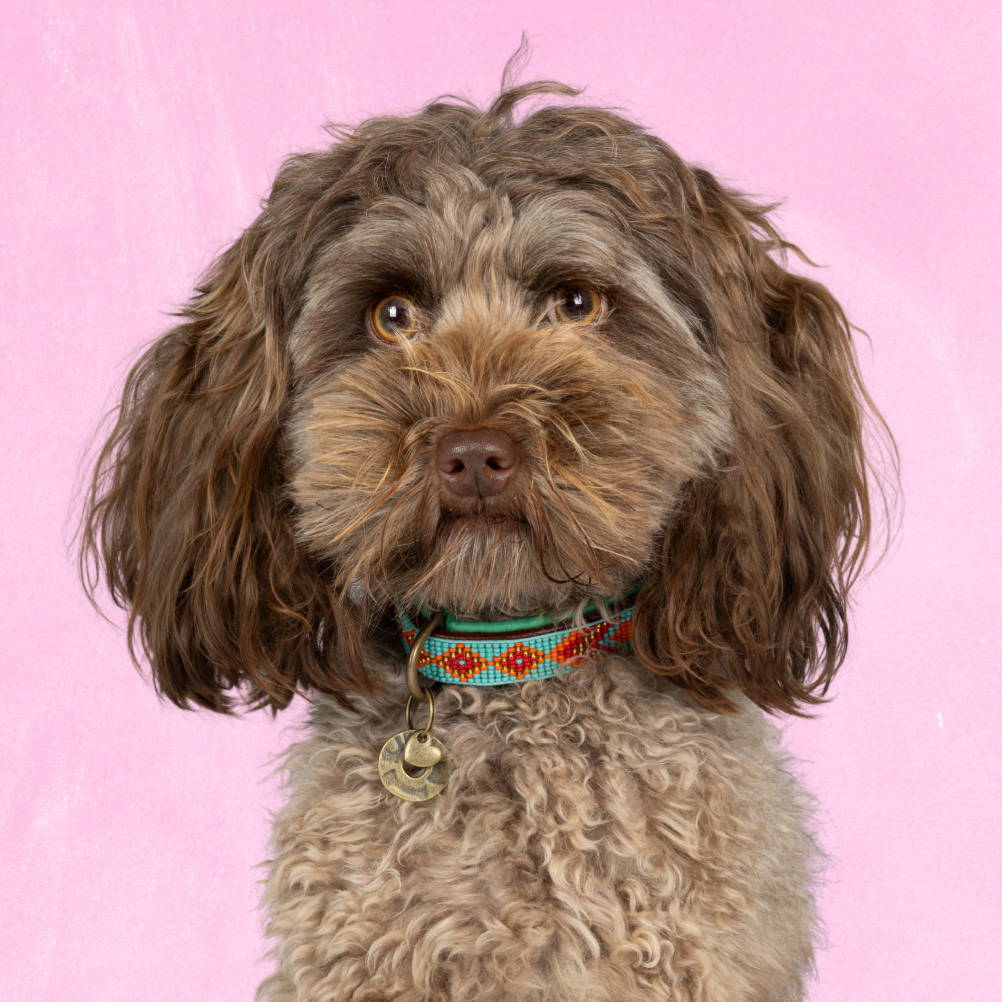 Dog with a Mission Beads Paddy Lee Collare Cane XS