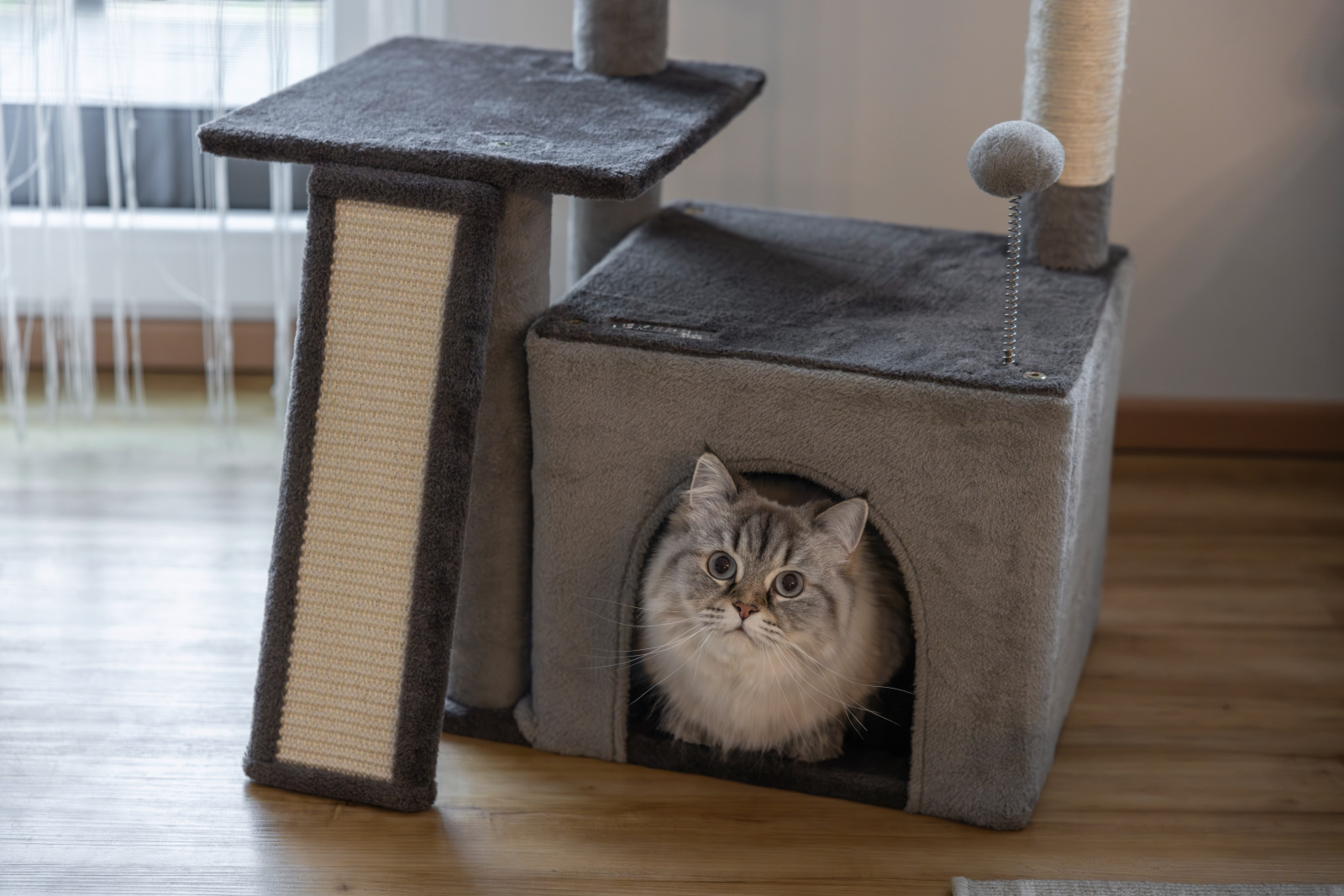 Kerbl Rosalie Albero Tiragraffi Gatto con Grotta in Sisal