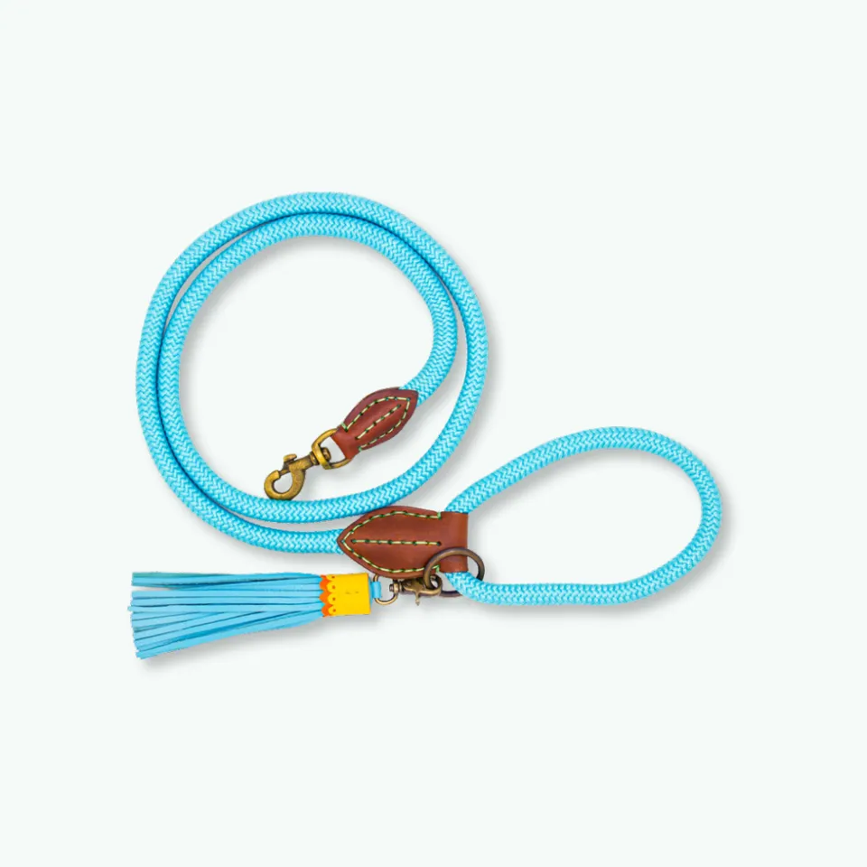 Dog with a Mission Blues L guinzaglio cane corda azzurro