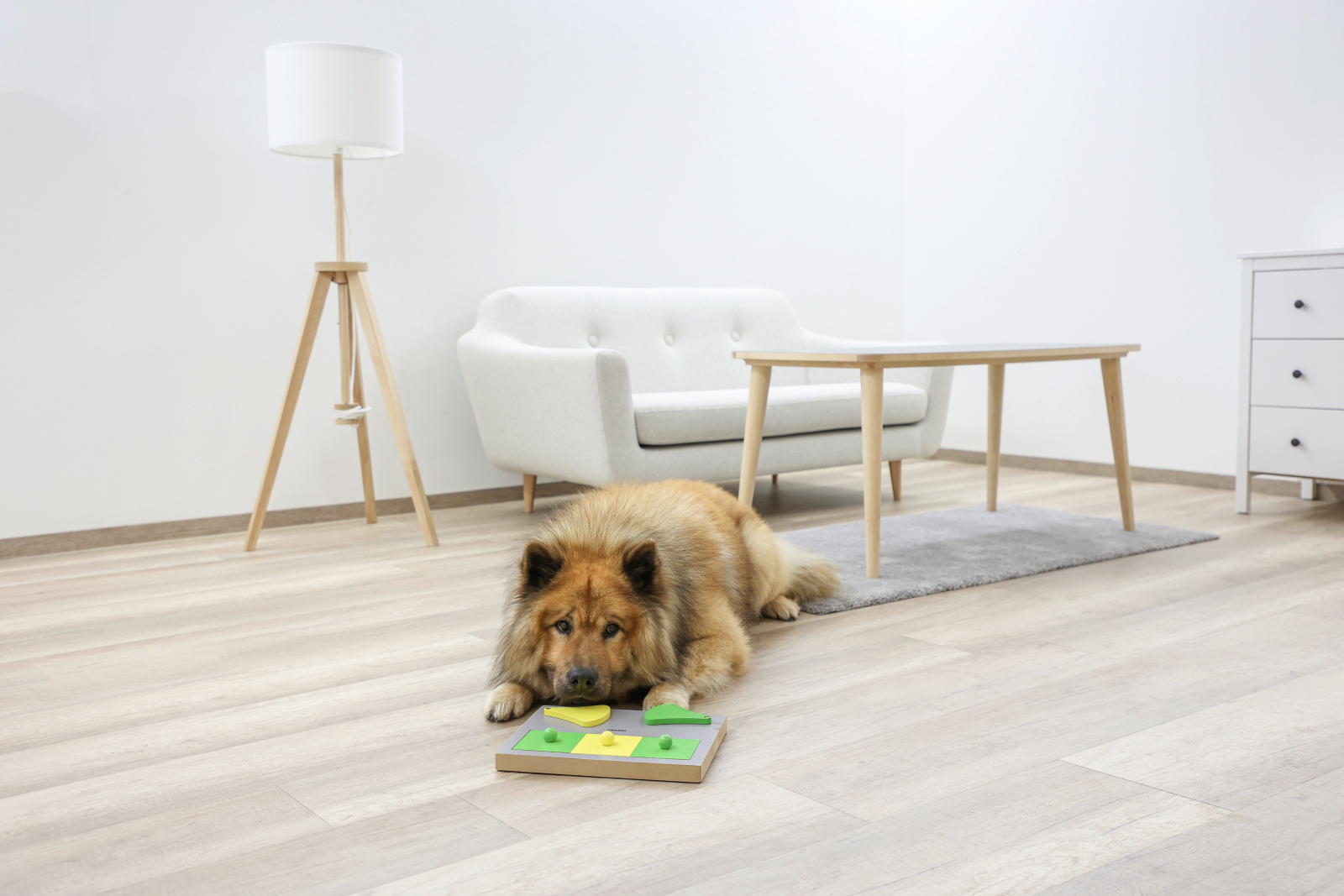 Kerbl Pet Dog Toy Torta Thinking and Learning Toy gioco cane legno facile