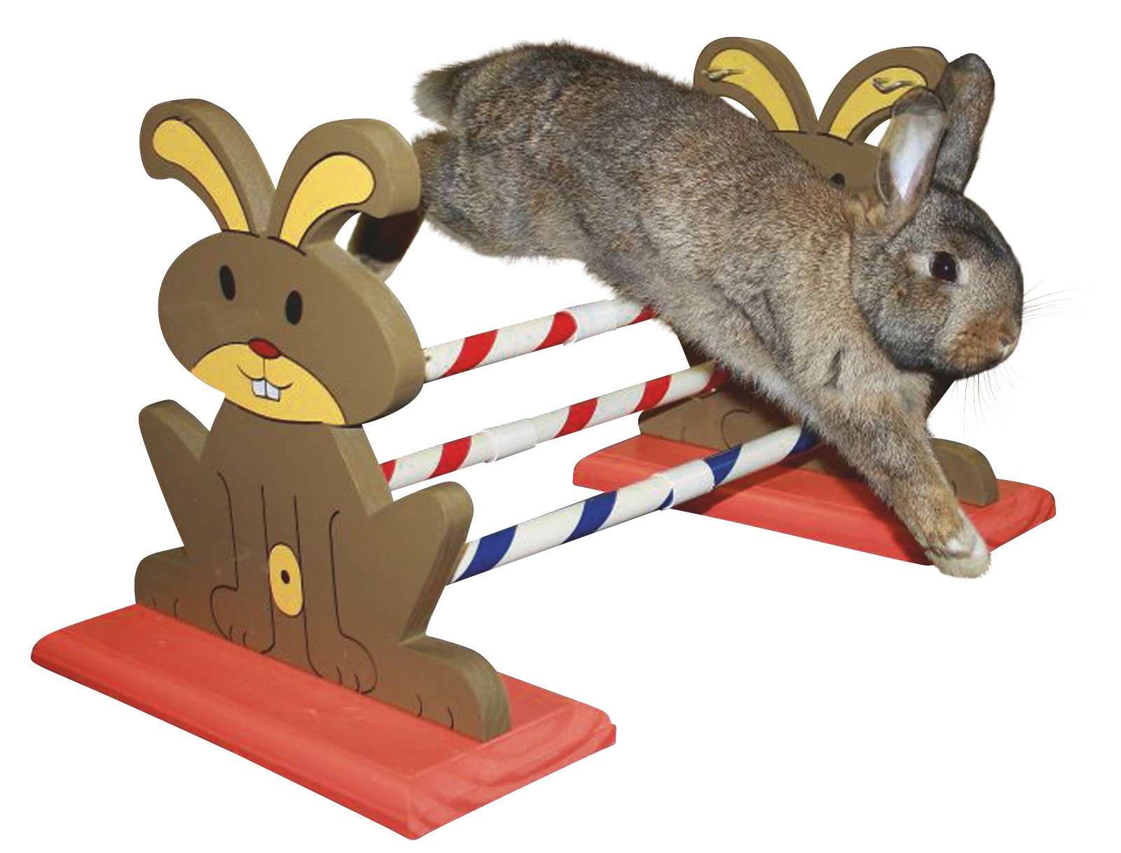 Kerbl Pet Rodent Agility ostacolo roditori legno 62 cm