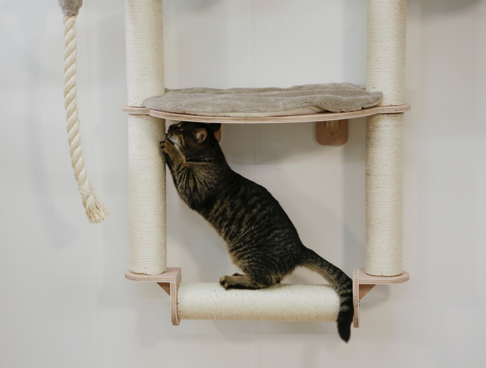 Kerbl Cat Scratch Dolomit Grappa Pro tiragraffi da parete legno