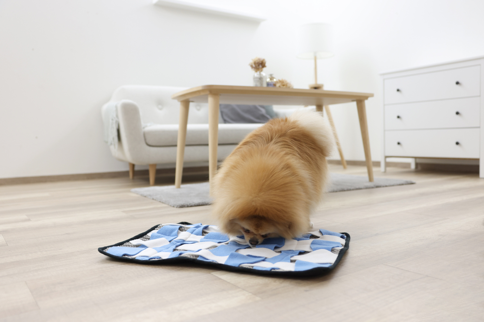 Kerbl Pet Waffle tappeto olfattivo cane pile lavabile