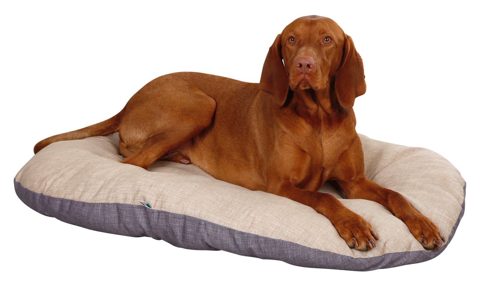 Kerbl Pet Loneta cuscino cane ovale cotone lavabile
