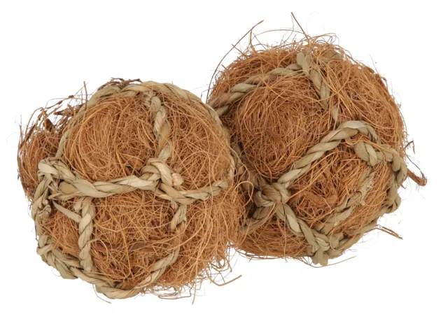 Kerbl Pet Play and Nibble Balls palle cocco roditori