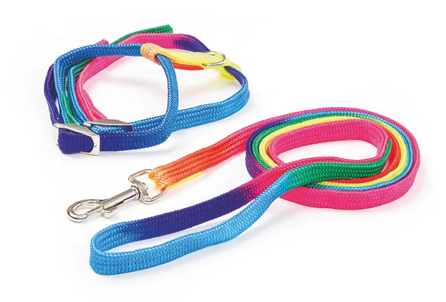 Kerbl Rainbow Pettorina per Gatti Nylon con Guinzaglio 120cm