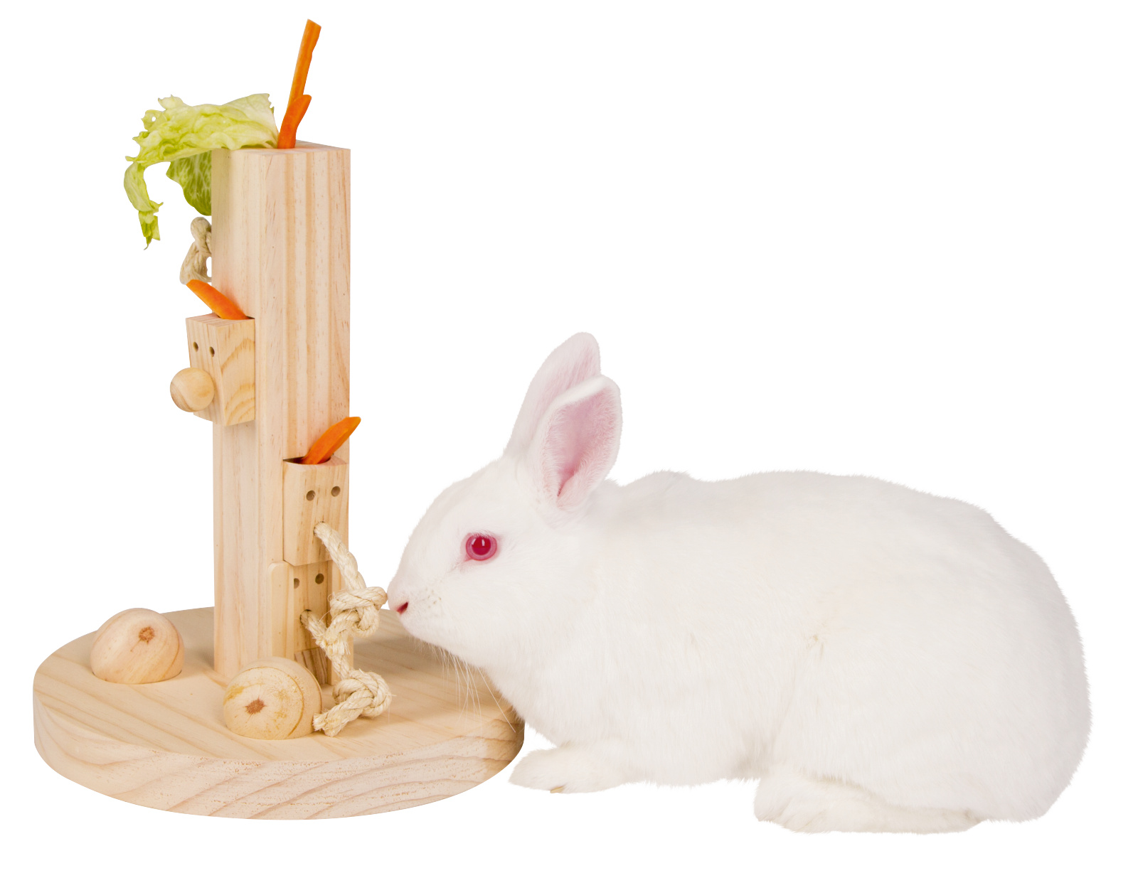 Kerbl Pet Feedtree gioco intelligenza roditori snack