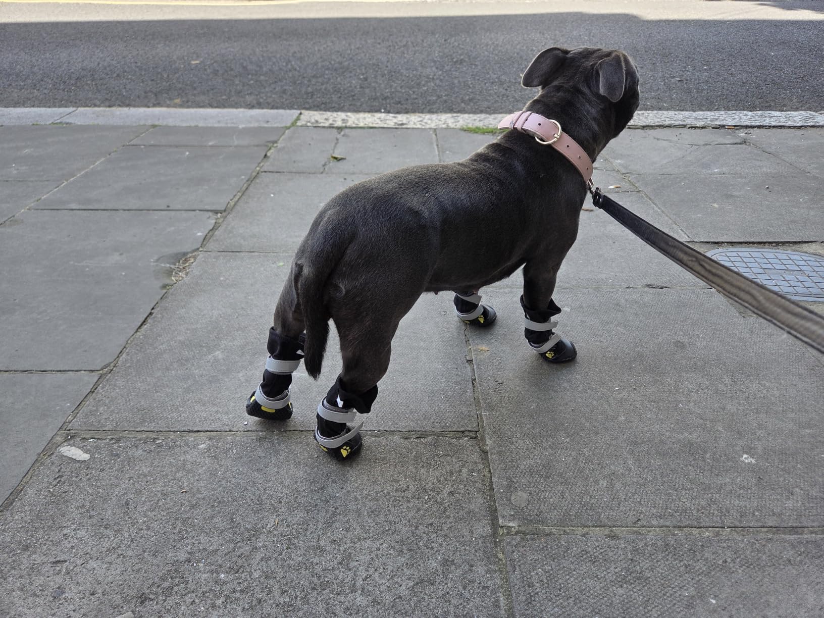 OHCOZZY Scarpette Cani Stivali Impermeabili M Nero 4 Pezzi