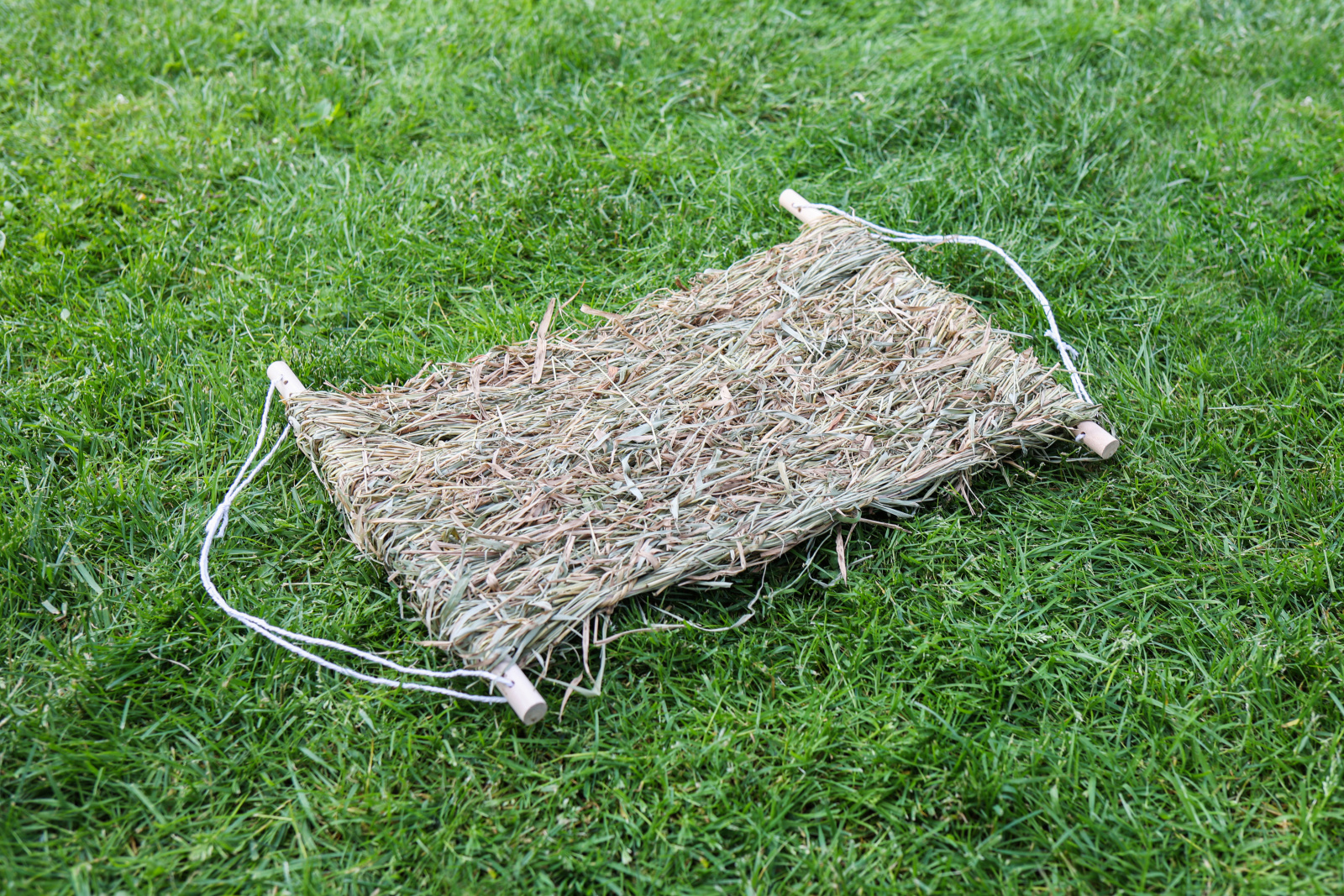 Kerbl Pet Siesta Spare Mat tappetino erba roditori ricambio