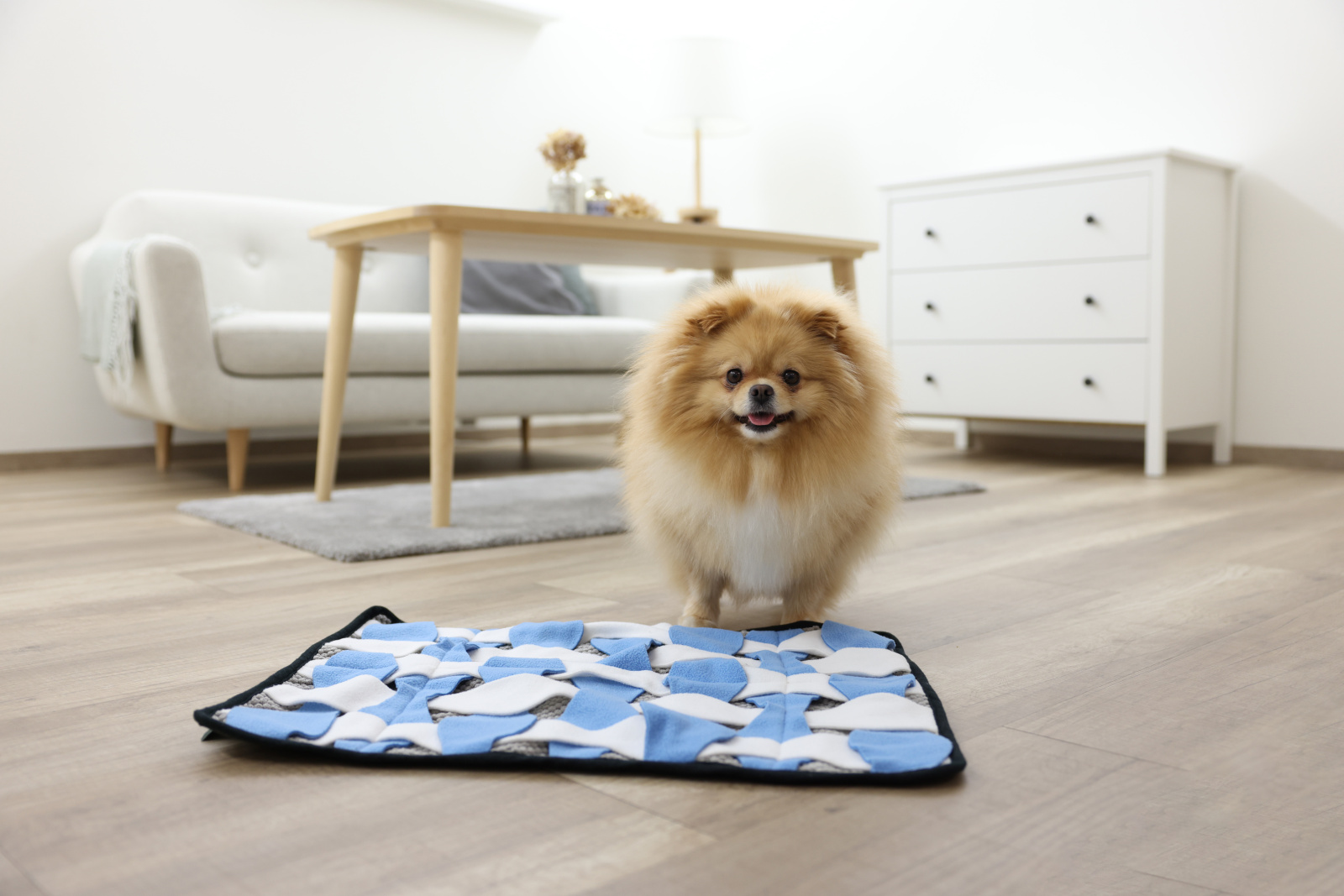 Kerbl Pet Waffle tappeto olfattivo cane pile lavabile