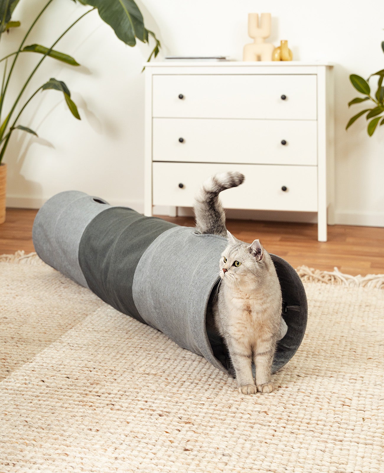 Lionto Tunnel Gatto Gioco con Pallina 30x130 cm