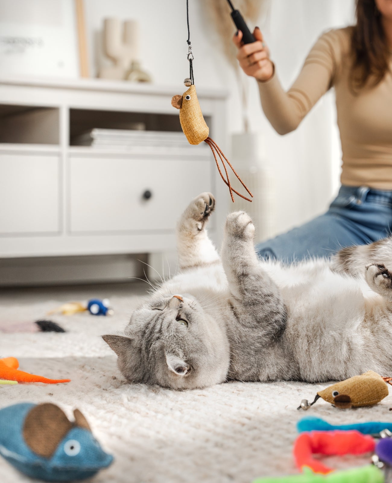 Lionto Katzen Alles für Zuhause Set 14 Giocattolo Gatto Canna Erba Gatta
