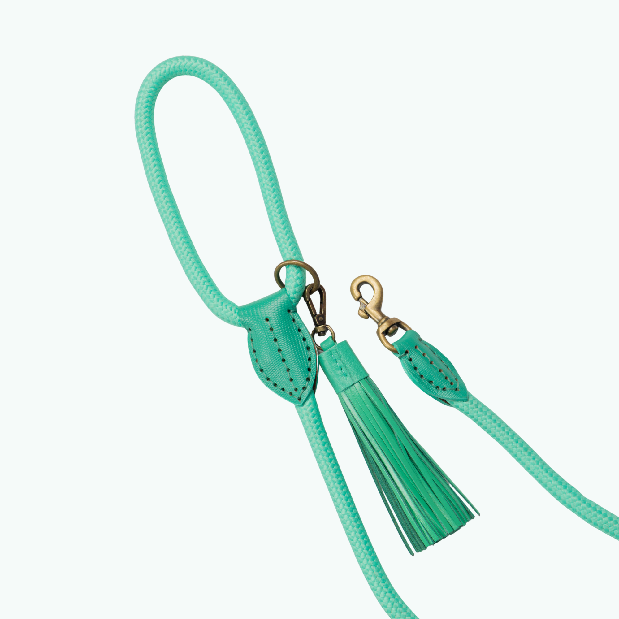 Dog with a Mission Classic Lagoon guinzaglio cane turchese 155 cm S
