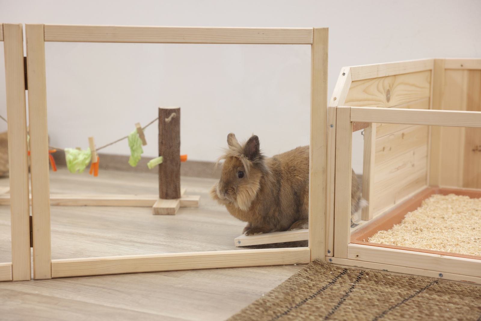 Kerbl Pet Room Divider recinto interno plexiglass roditori