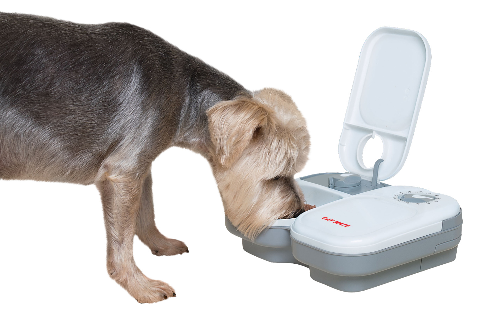 Cat Mate C200 mangiatoia automatica gatto 2 vaschette 400 g