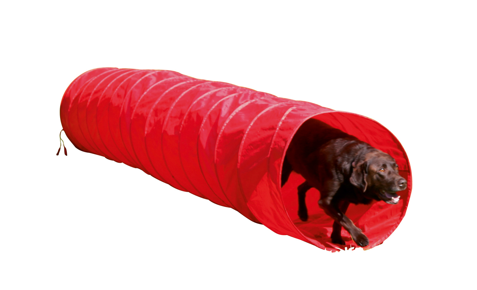 Kerbl Tunnel Agility Cane in nylon con picchetti e sacca