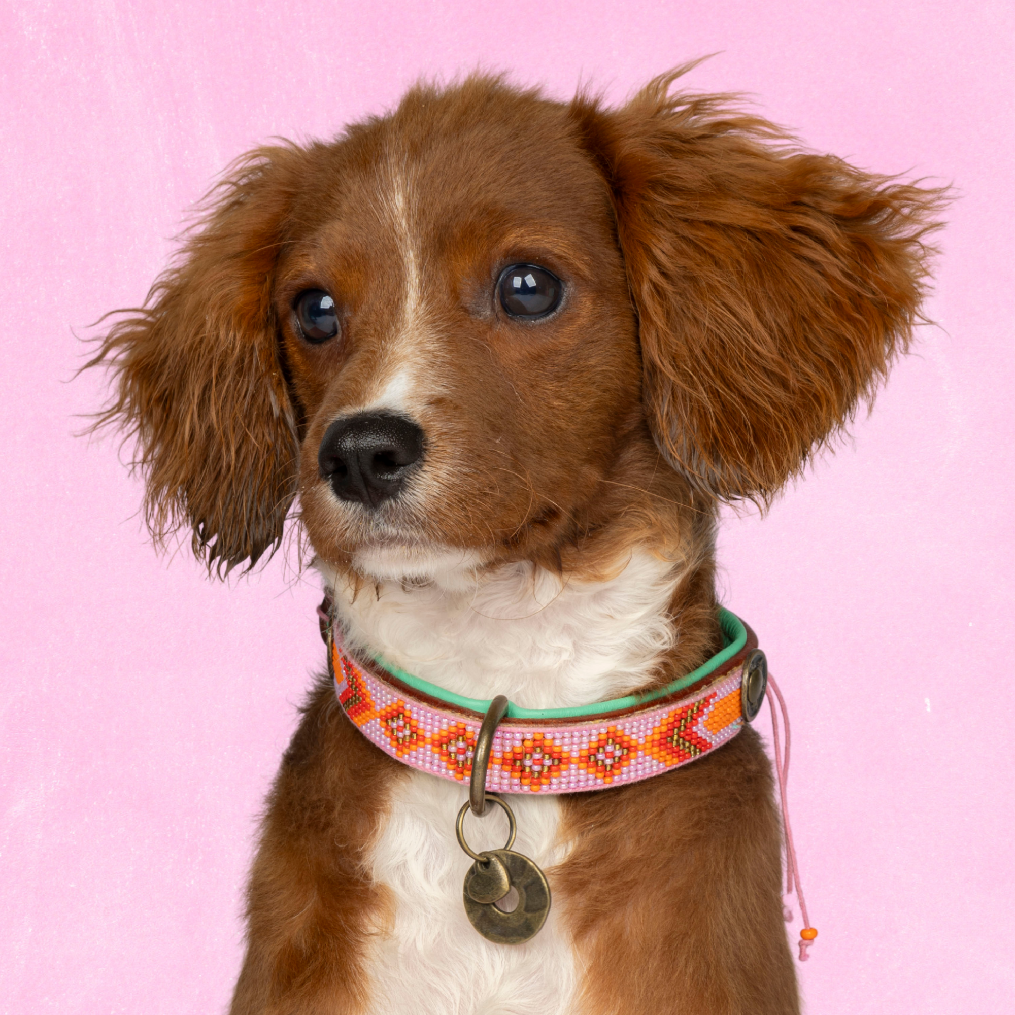 Dog with a Mission Sweet Mae Collare Cane XS Perline Rosa