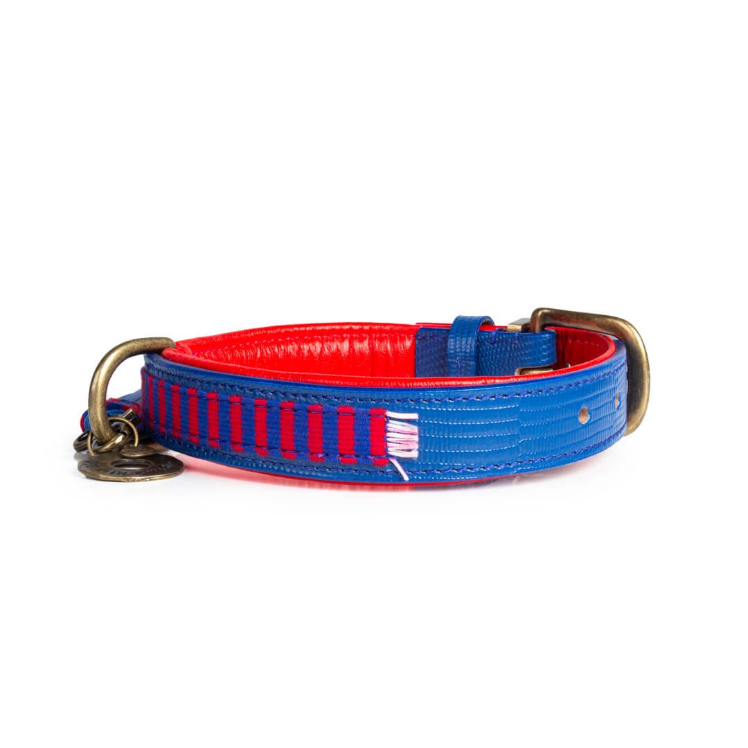 Dog with a Mission Mr Clooney S collare cane pelle rosso blu 30-33