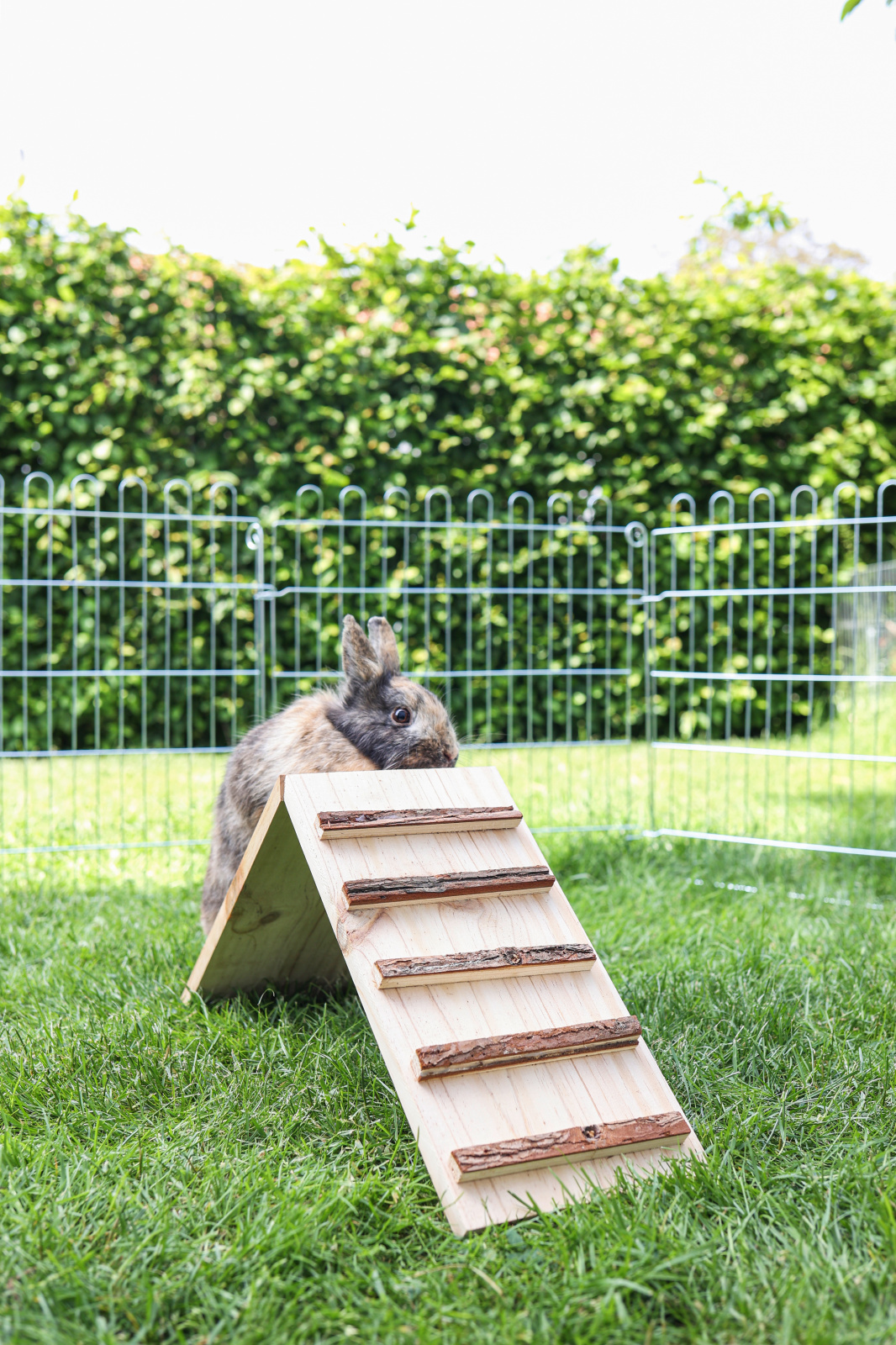 Kerbl Pet Wooden Bridge Nature ponte legno roditori flessibile
