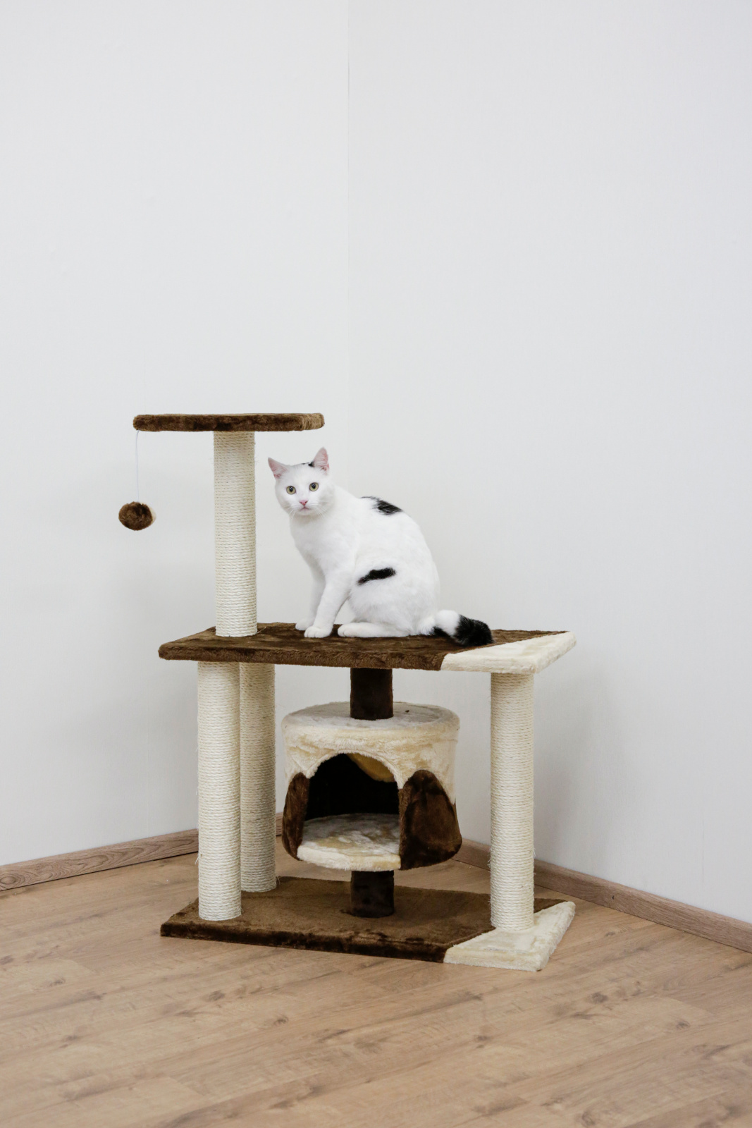 Kerbl Pet Jade Pro albero tiragraffi per gatti piccoli