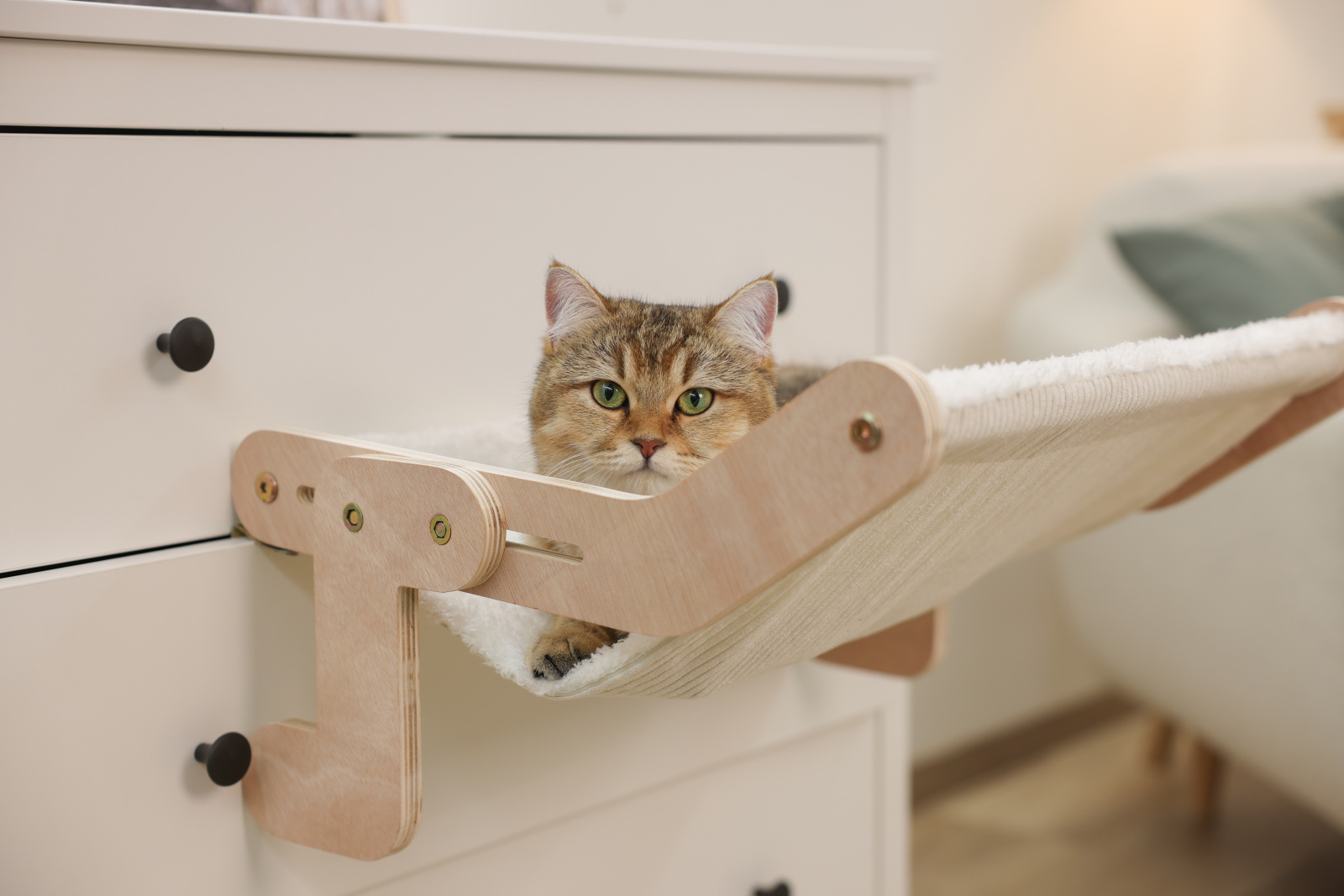 Kerbl Pet Hammock Nap Amaca Gatto Legno con Telo Morbido