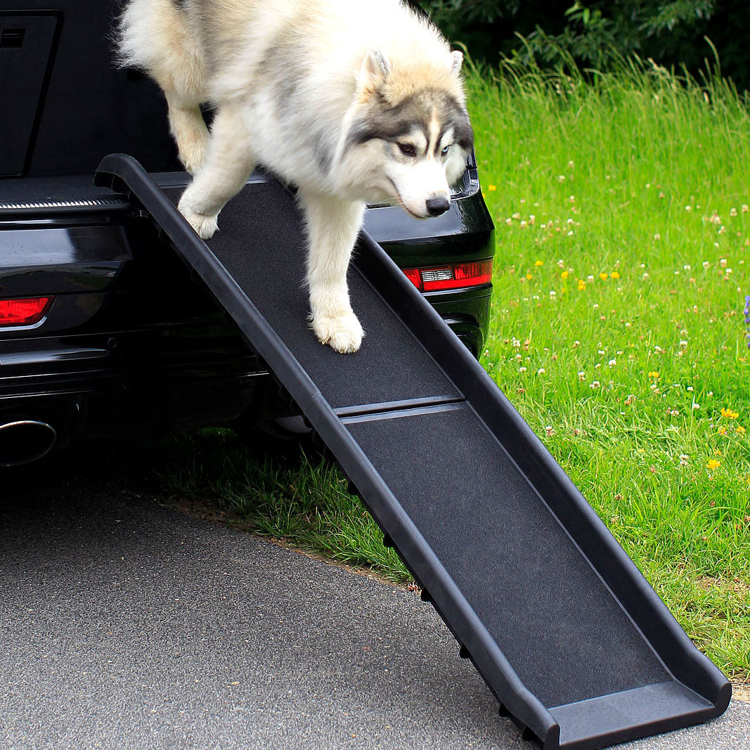 Lionto Rampa per Cani 100x38 cm Plastica Antiscivolo 90 kg