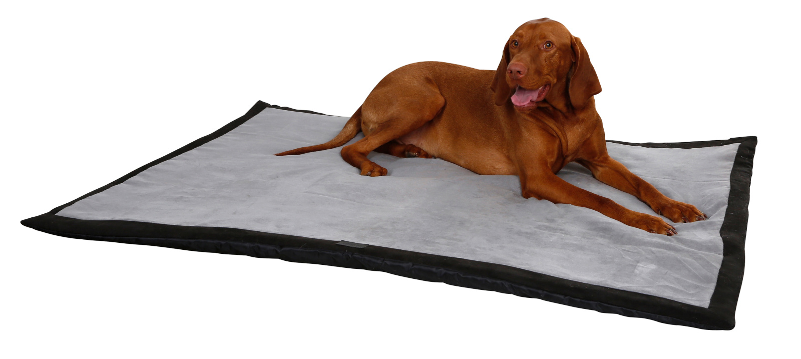 Kerbl Pet Dog Trip coperta cane viaggio impermeabile